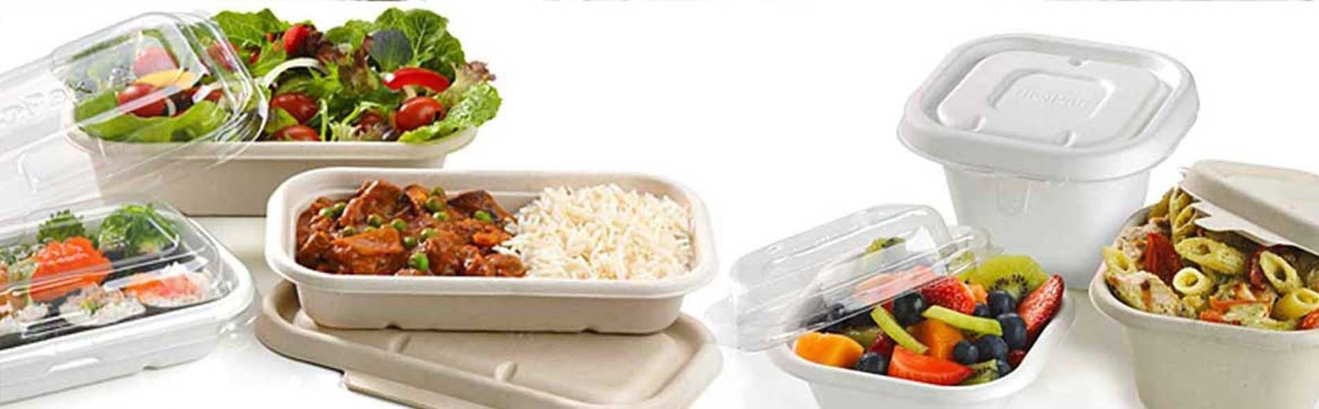 Sugarcane Takeaway Lunch Box